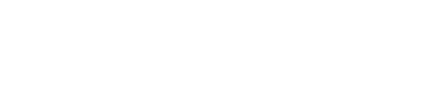 fingerprint icon
