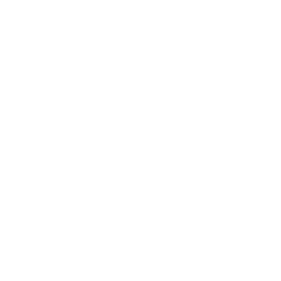 physical therapy icon
