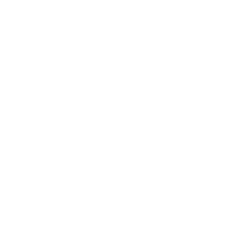 syringe icon