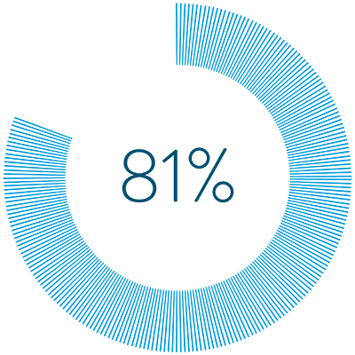 81%