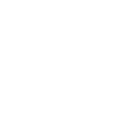 fingerprint icon