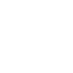 neuromodulation icon
