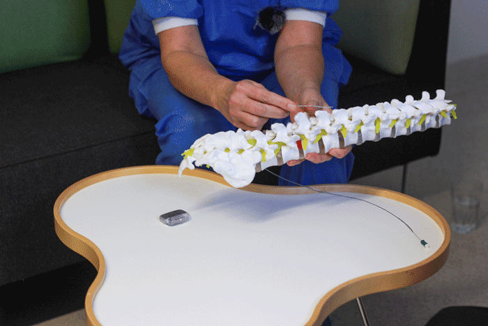 doctor with model spine