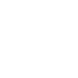 icon spinal cord stimulation