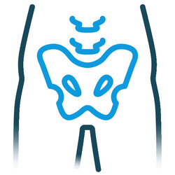 icon pelvis