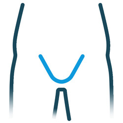 icon groin